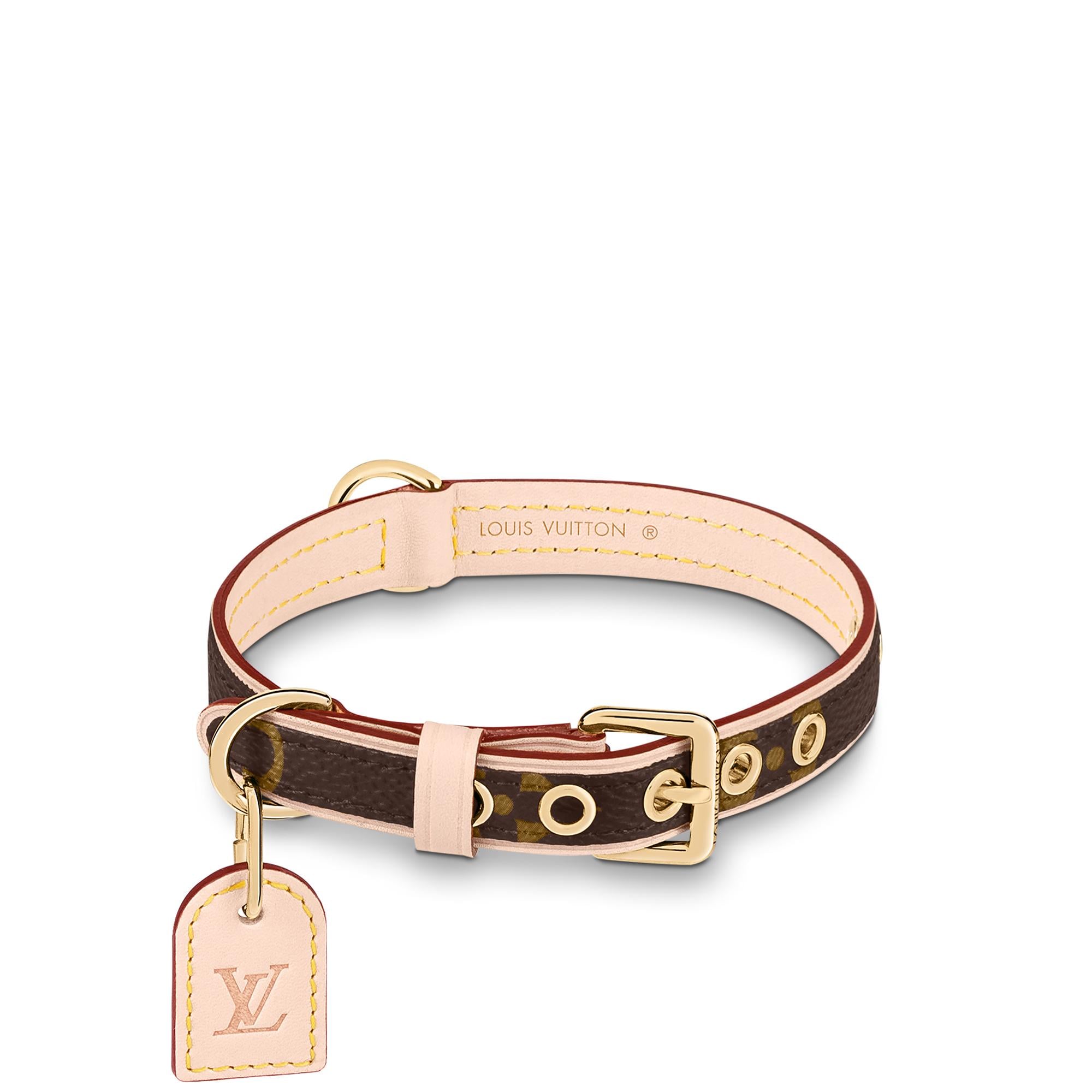 Louis vuitton sales collar cat